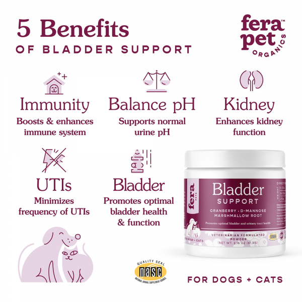 Bladder Support Supplement