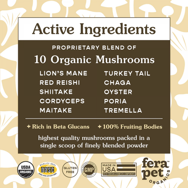 Organic Mushroom Blend for Immune Support