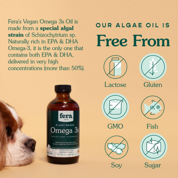 Vegan Omega-3s Algae Oil