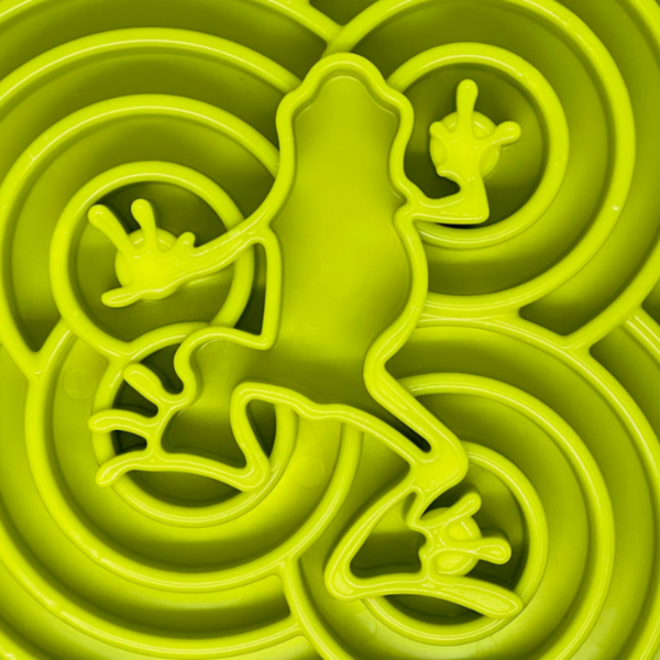 Water Frog Enrichment Tray