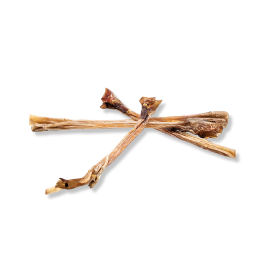 Ostrich Long Tendon (1 pc.)