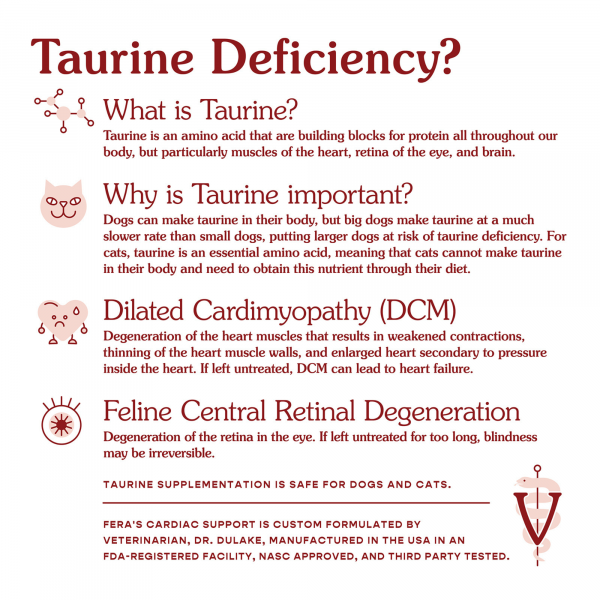 Cardiac Support Supplement