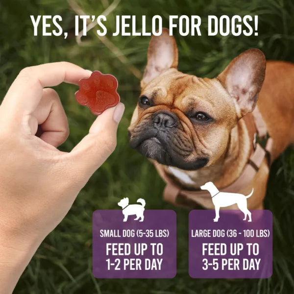 Dogtastic Jelly Shots Silicone Mold - Paw Shape