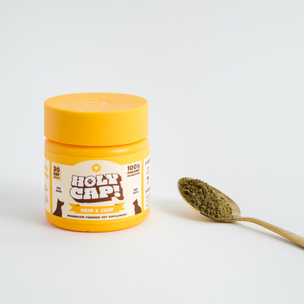 Holy Cap Skin and Coat