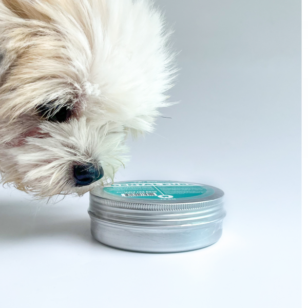 Dental Pure Supplement