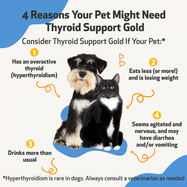 Thyroid Support Gold (Hyperthyroid) - Cats