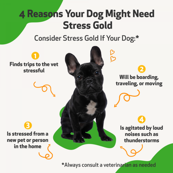 Stress Gold (High Stress Situations) - Dogs