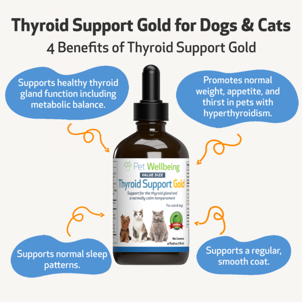 Thyroid Support Gold (Hyperthyroid) - Cats