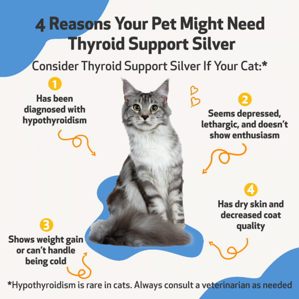Thyroid Support Silver (Hypothyroid) - Cats