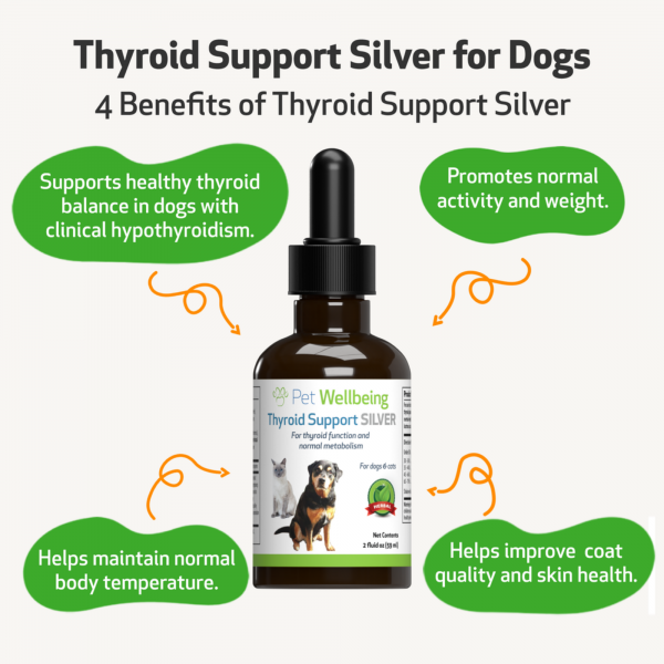 Thyroid Support Silver (Hypothyroid) - Dogs