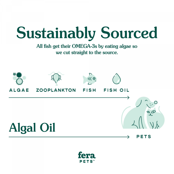 Vegan Omega-3s Algae Oil