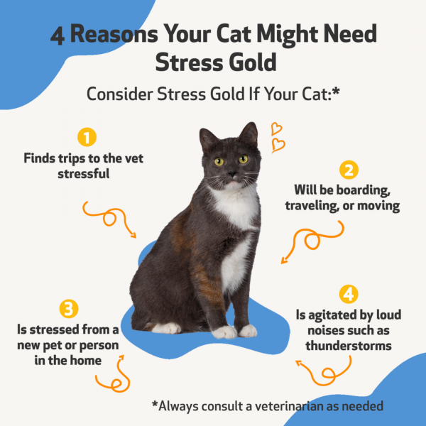 Stress Gold (High Stress Situations) - Cats