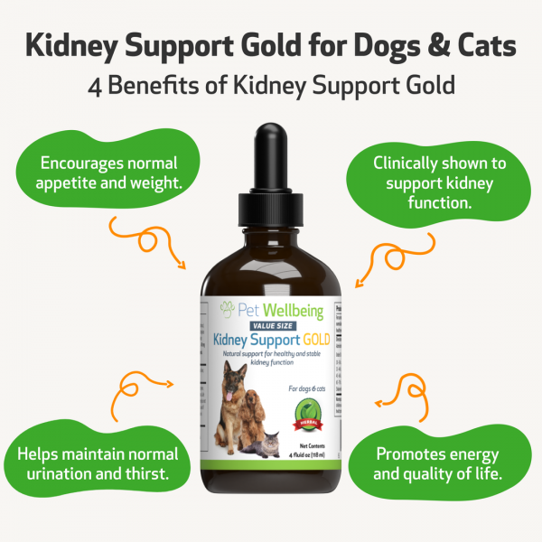 Kidney Support Gold (Kidney Function) - Dogs