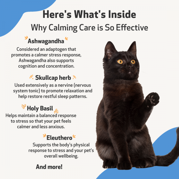 Calming Care (Anxious Behavior) - Cats