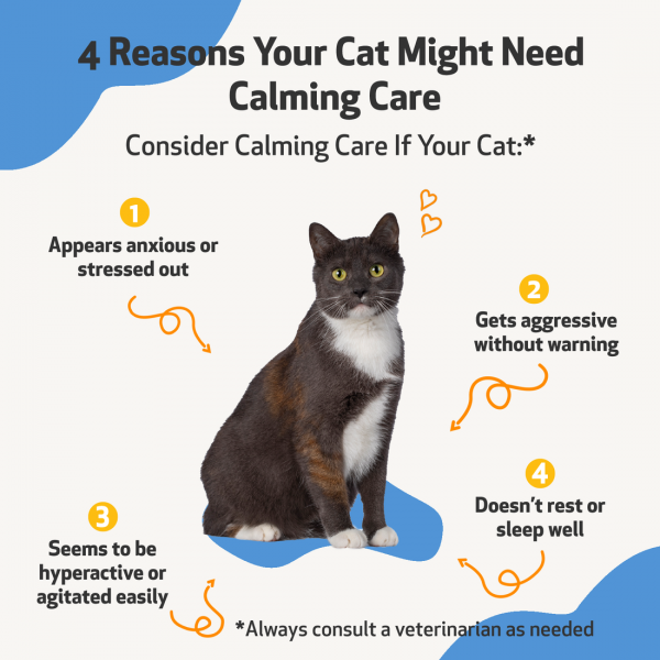 Calming Care (Anxious Behavior) - Cats