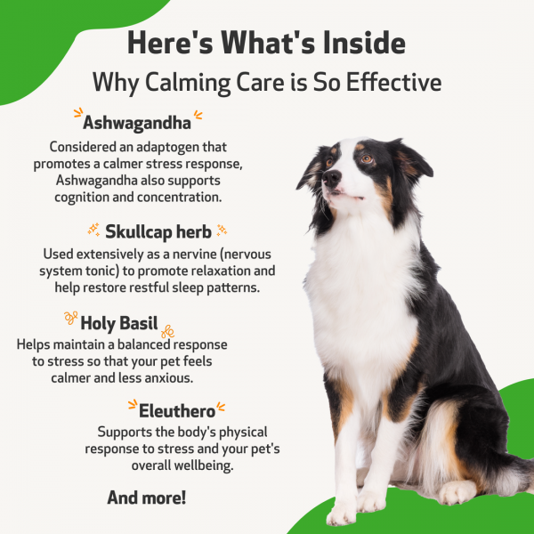 Calming Care (Anxious Behavior) - Dogs