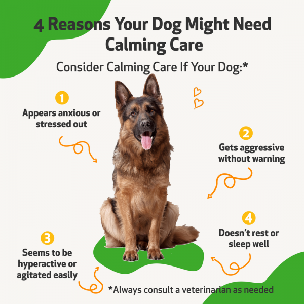Calming Care (Anxious Behavior) - Dogs