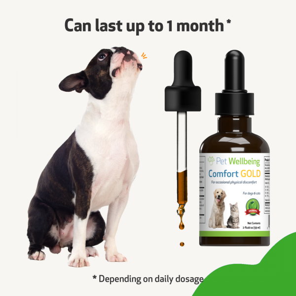 Comfort Gold (Occasional Physical Discomfort) - Dogs
