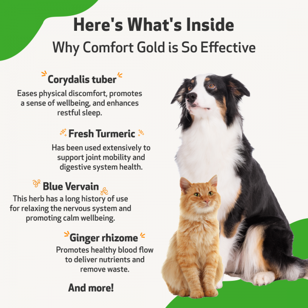 Comfort Gold (Occasional Physical Discomfort) - Dogs