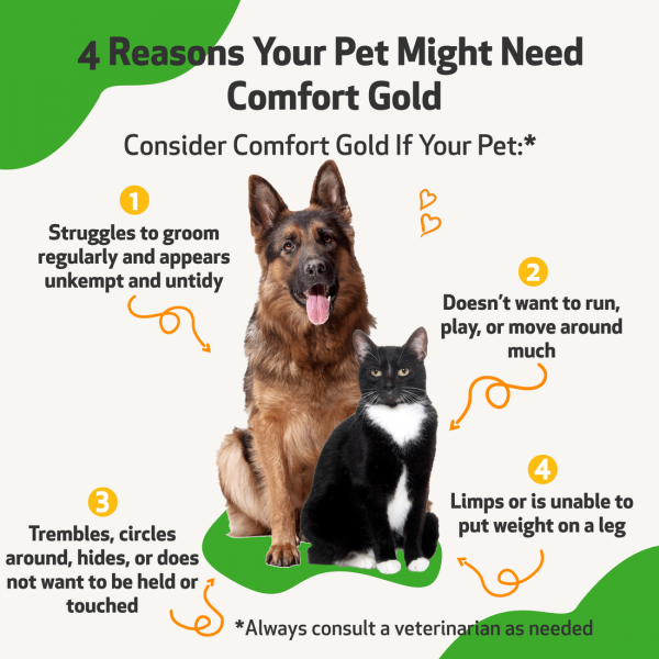 Comfort Gold (Occasional Physical Discomfort) - Dogs