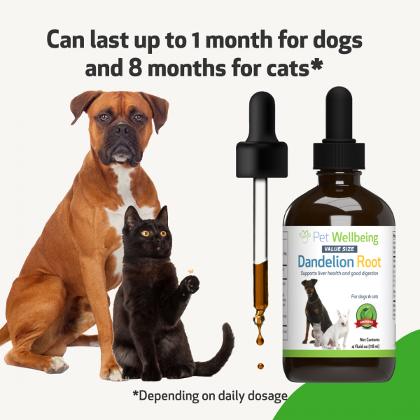 Dandelion Root (Digestive & Liver Support) - Dogs