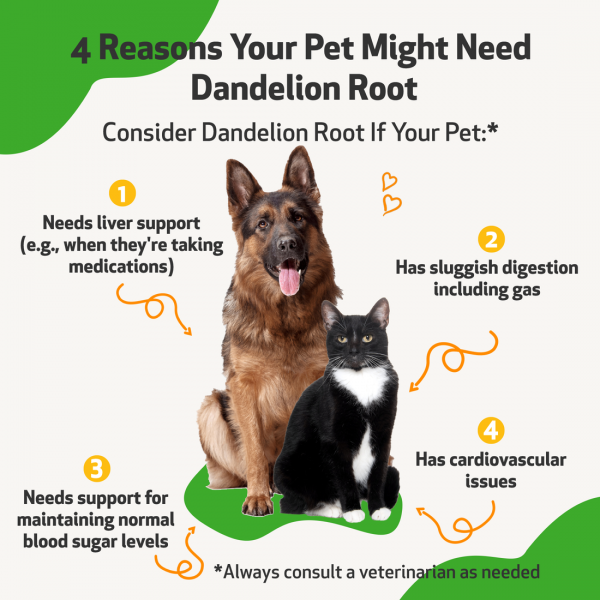 Dandelion Root (Digestive & Liver Support) - Dogs