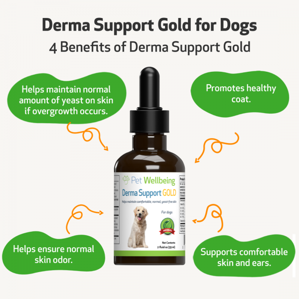 Derma Support Gold (Healthy Coat, Odor & Itching) - Dogs