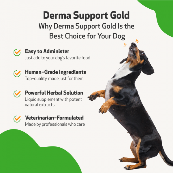 Derma Support Gold (Healthy Coat, Odor & Itching) - Dogs