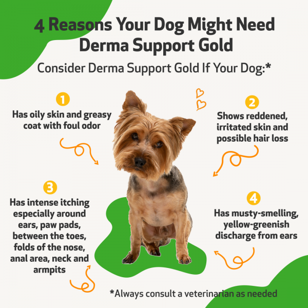 Derma Support Gold (Healthy Coat, Odor & Itching) - Dogs