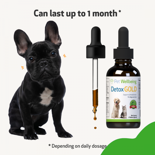 Detox Gold (Gentle Detoxification & Elimination Support) - Dogs