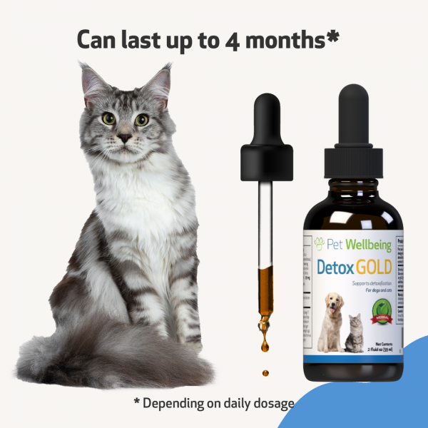 Detox Gold (Gentle Detoxification & Elimination Support) - Cats
