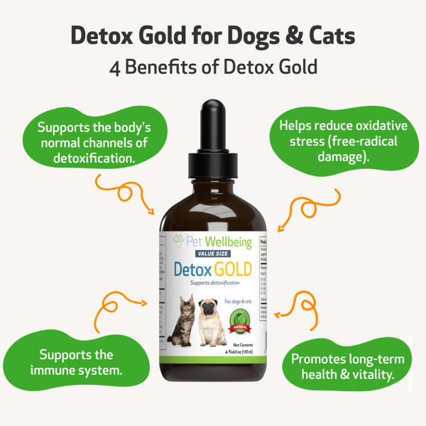 Detox Gold (Gentle Detoxification & Elimination Support) - Dogs