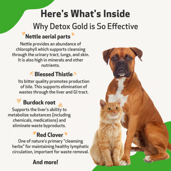 Detox Gold (Gentle Detoxification & Elimination Support) - Cats