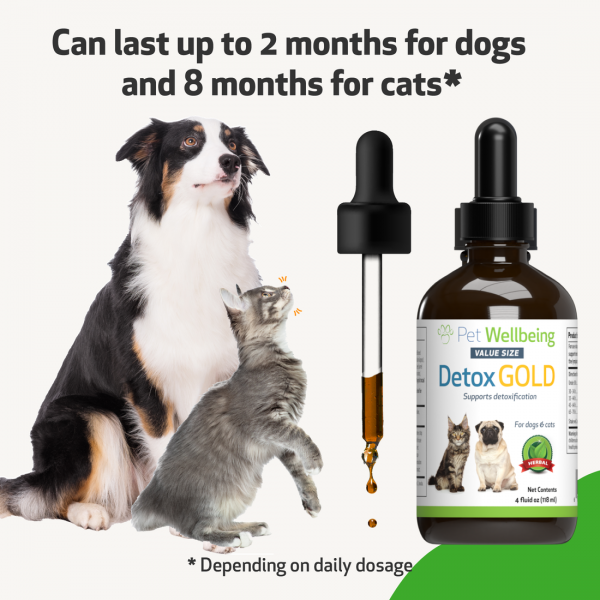 Detox Gold (Gentle Detoxification & Elimination Support) - Dogs