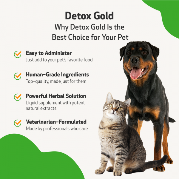 Detox Gold (Gentle Detoxification & Elimination Support) - Dogs