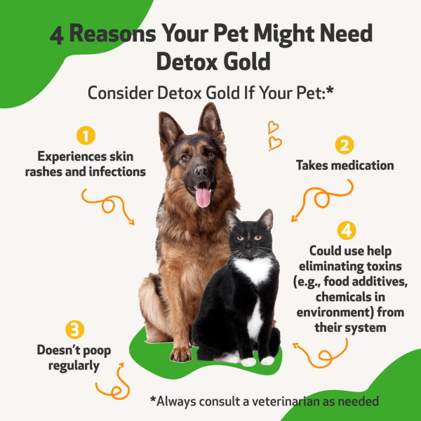 Detox Gold (Gentle Detoxification & Elimination Support) - Dogs