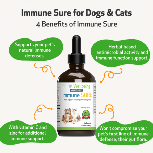 Immune SURE (Immunity Support) - Cats