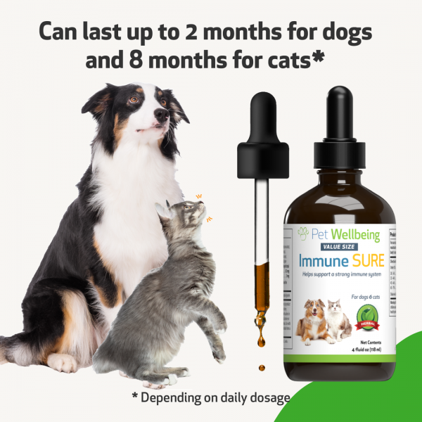 Immune SURE (Immunity Support) - Cats