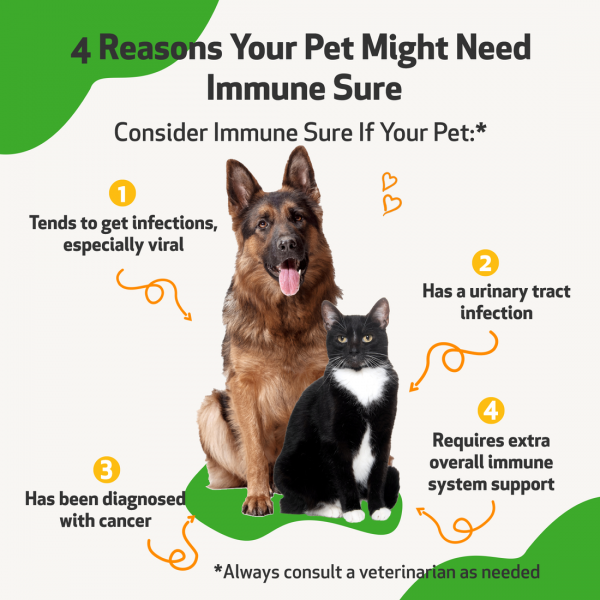 Immune SURE (Immunity Support) - Cats