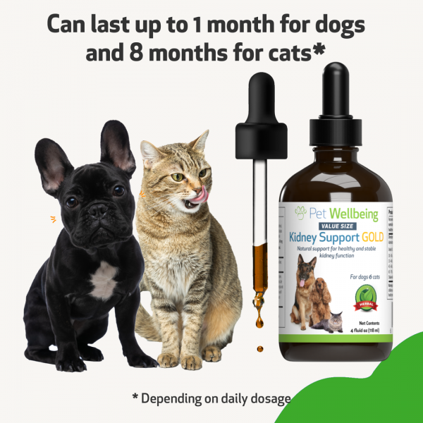 Kidney Support Gold (Kidney Function) - Cats