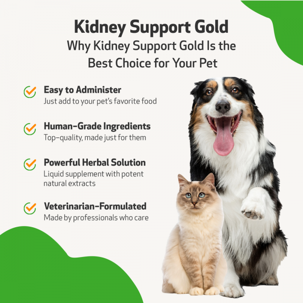 Kidney Support Gold (Kidney Function) - Cats