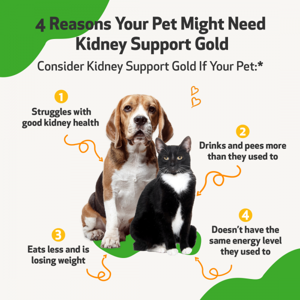 Kidney Support Gold (Kidney Function) - Cats