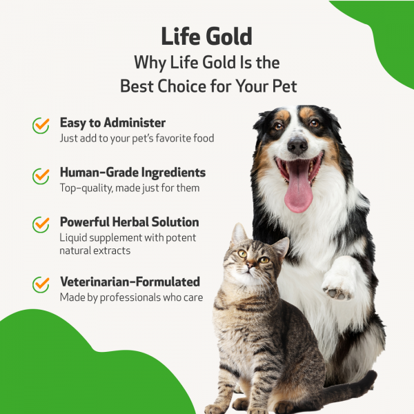 Life Gold (Trusted Care for Cancer) - Cats