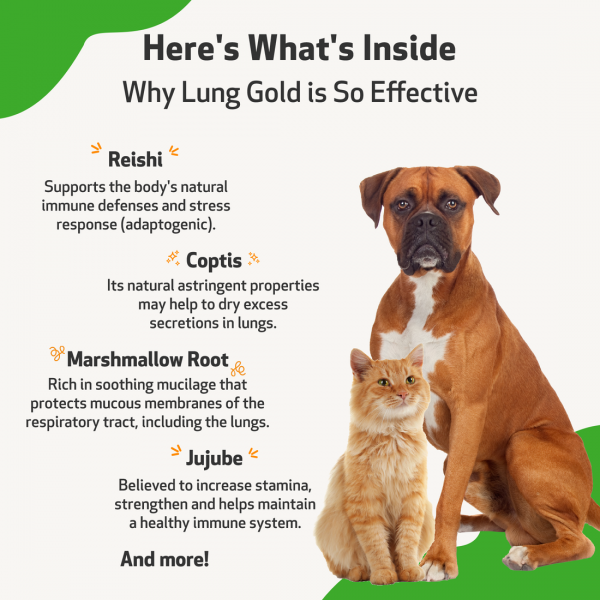 Lung Gold (Lower Respiratory Tract Support) - Dogs