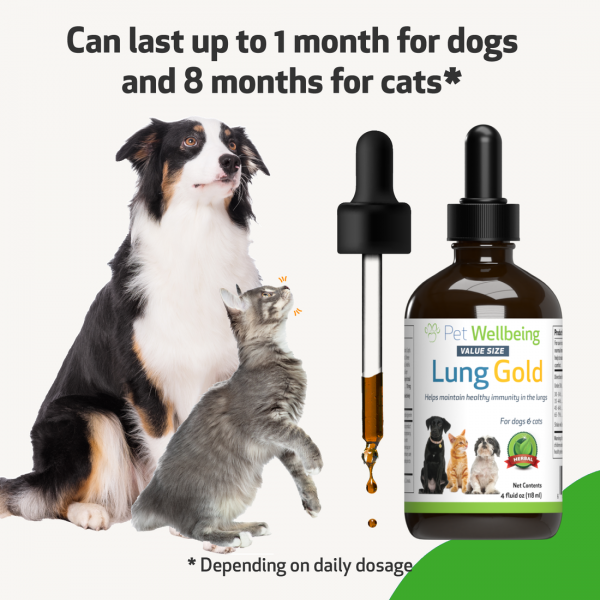 Lung Gold (Lower Respiratory Tract Support) - Cats