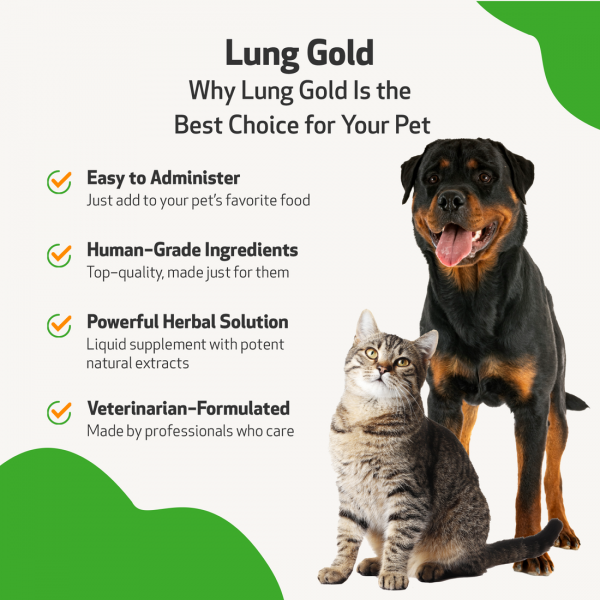 Lung Gold (Lower Respiratory Tract Support) - Cats
