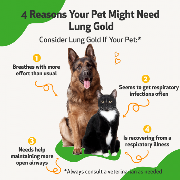 Lung Gold (Lower Respiratory Tract Support) - Cats