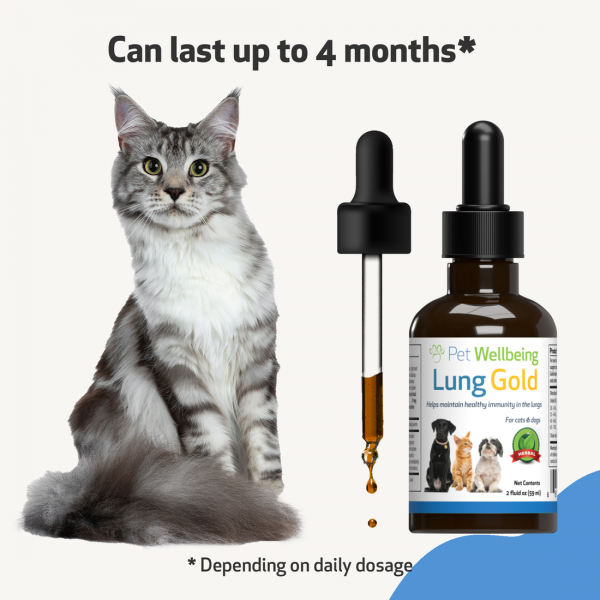Lung Gold (Lower Respiratory Tract Support) - Cats