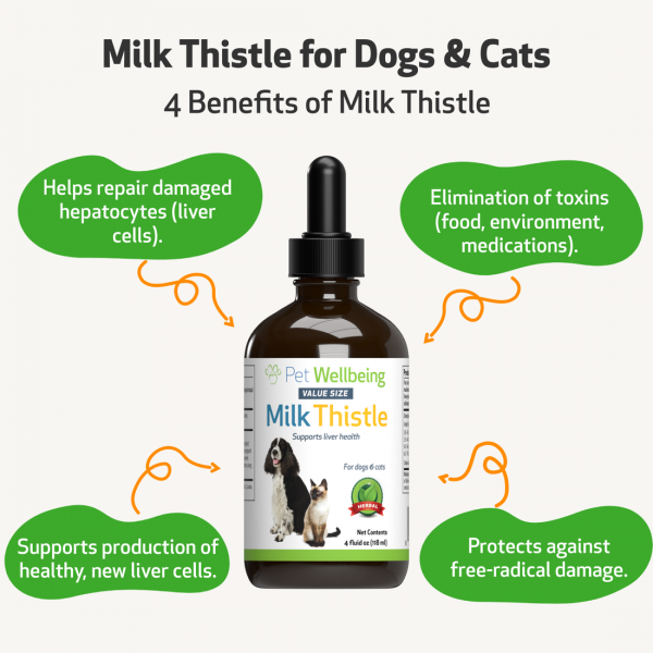 Milk Thistle (Healthy Liver Function) - Dogs