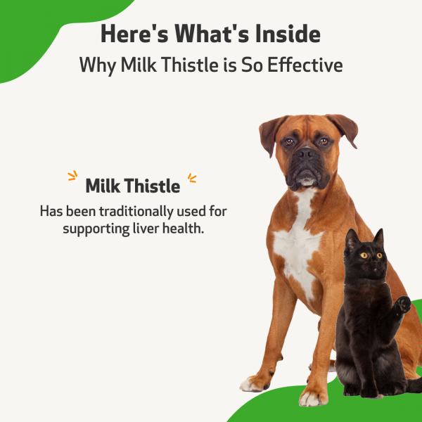 Milk Thistle (Healthy Liver Function) - Cats
